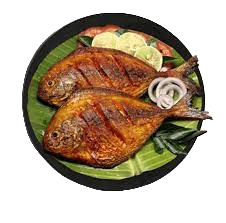 nonveg2
